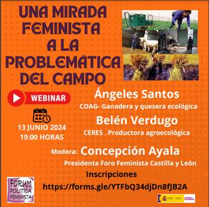UNA MIRADA FEMINISTA A LA PROBLEMÁTICA DEL CAMPO,