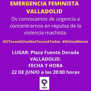 CONCENTRACIÓN A LAS 20h. PLAZA fUENTE DORADA VALLADOLID. ALERTA FEMINISTA.